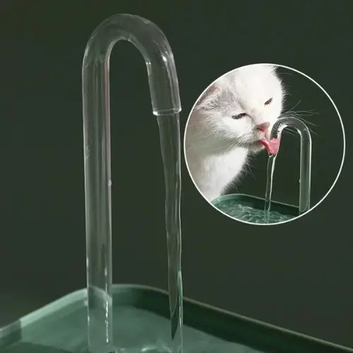 Bebedouro Automático Elevado para Pets 1.5L - Hidratação Premium
