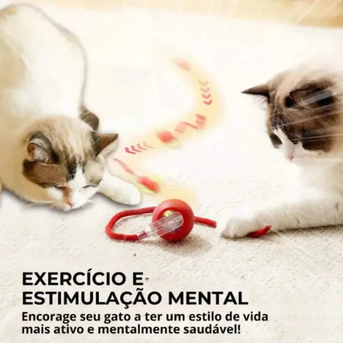 Bola Inteligente com Sensor para Gato