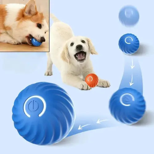 Bolinha Pet Inteligente Interativa Revestida de Silicone