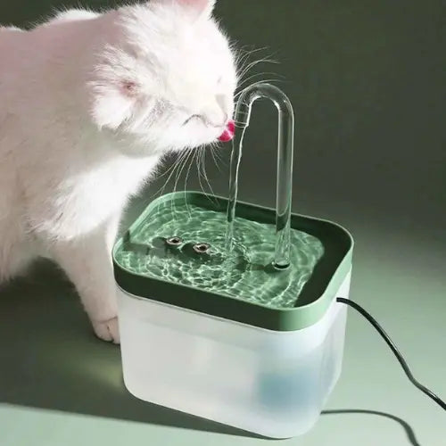 Bebedouro Automático Elevado para Pets 1.5L - Hidratação Premium