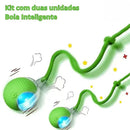 Bola Inteligente com Sensor para Pets