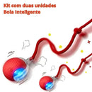 Bola Inteligente com Sensor para Pets