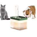 Bebedouro Automático Elevado para Pets 1.5L - Hidratação Premium