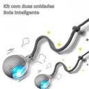 Bola Inteligente com Sensor para Pets